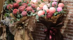 Hoa Của Tui - Shop hoa tươi giá rẻ, chất lượng