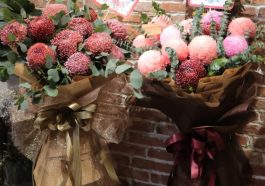 Hoa Của Tui - Shop hoa tươi giá rẻ, chất lượng