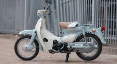 Xe máy 50cc Little Cub Honda