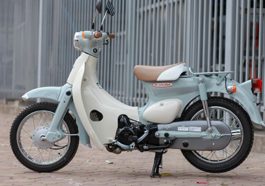 Xe máy 50cc Little Cub Honda
