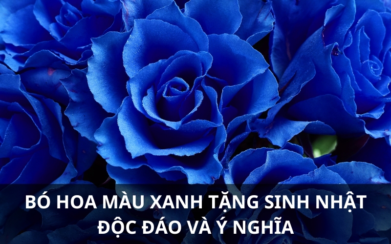 Bình Hoa màu xanh dương  Ngày đẹp trời  Bi29173  Tiệm Hoa Bốn Mùa