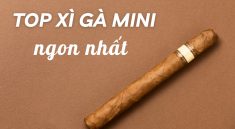 top xì gà mini ngon nhất