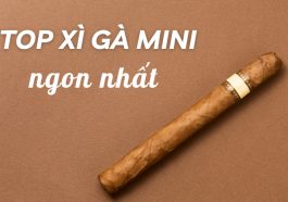 top xì gà mini ngon nhất