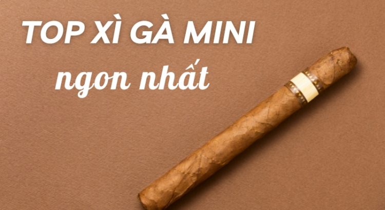 top xì gà mini ngon nhất