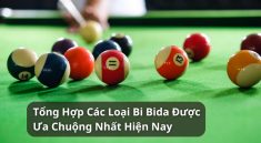 các loại bi bida