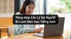 lý do người đi làm nên học tiếng anh