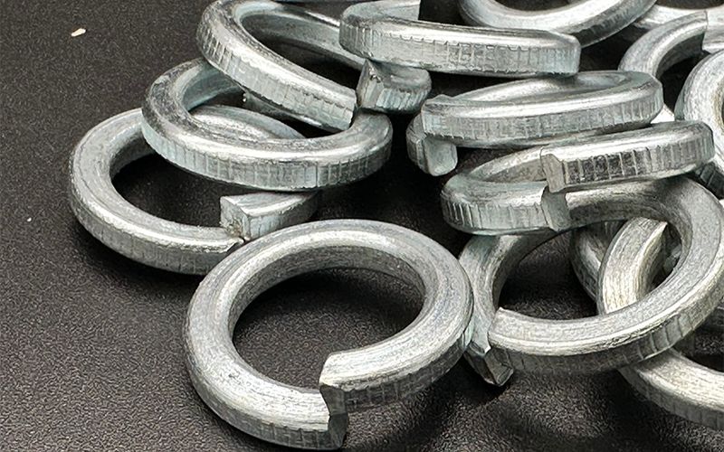 Công dụng của long đền vênh trong thực tế